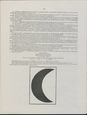 p. 19