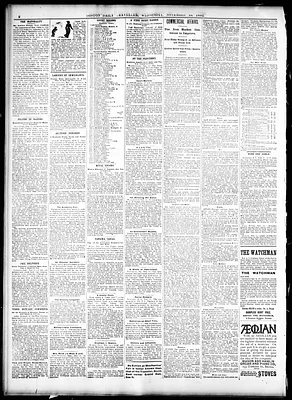 Boston Daily Traveller