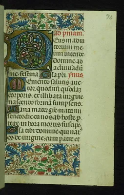 p. 7