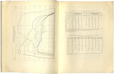 p. 19