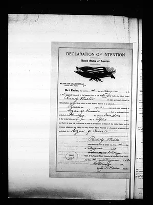 p. 15