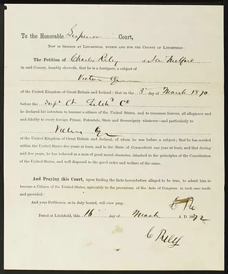 p. 8