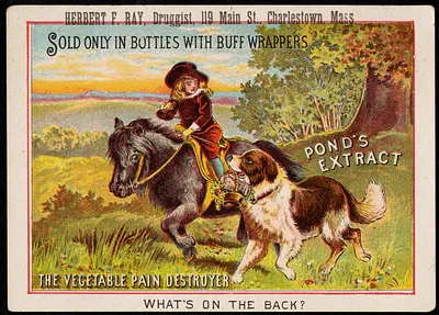 Pond's Extract, sold only in bottles with buff wrappers, the vegetable pain destroyer. What's on the back?