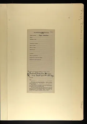 p. 6
