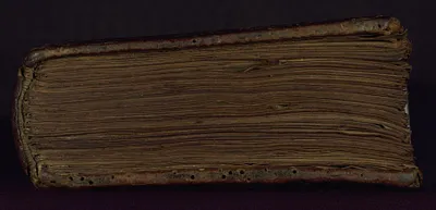 p. 8