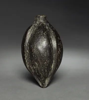 Fruit