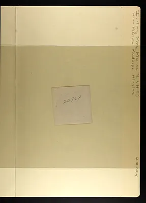 p. 19