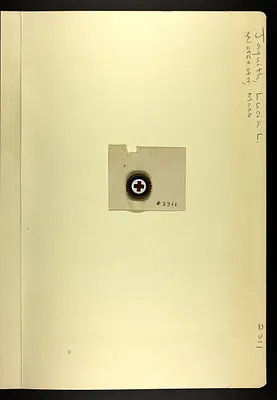 p. 3
