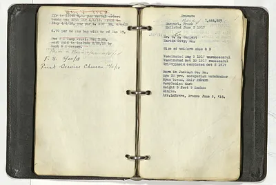 p. 42