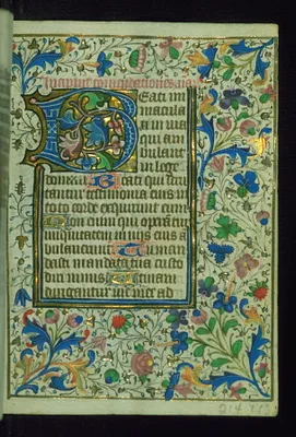 p. 41