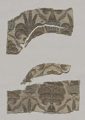 Silk Fragments