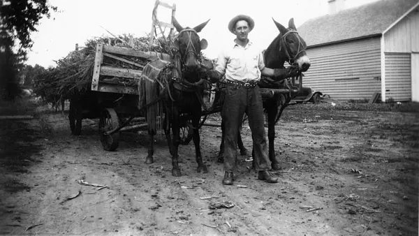 Man with Horses by Wooden Cart, 1928