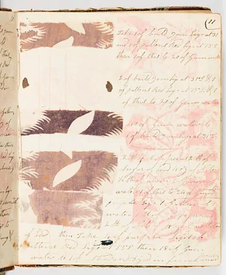 p. 5