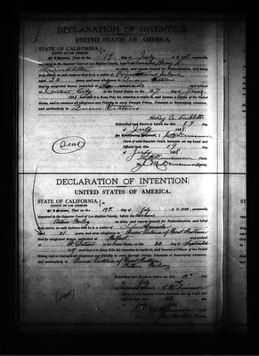 Page 529