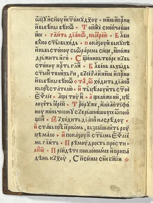 p. 24