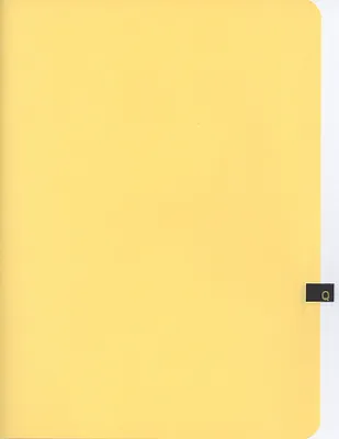 p. 43