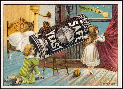Warner's Safe Yeast