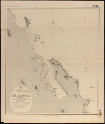 North America, west coast, lower California, western shore of the Gulf of California, from Pulpito Point (San Basilio Bay) to San Marcos Island, including Concepcion Bay