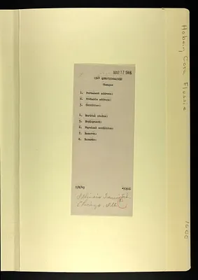 p. 43