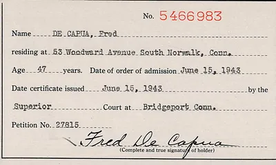 p. 5
