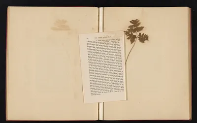 p. 15