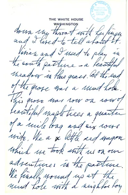p. 5