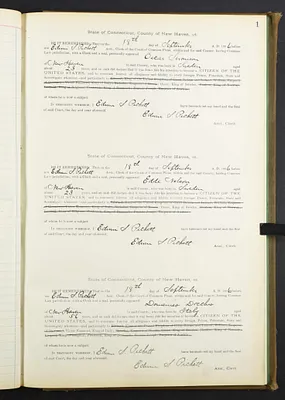 p. 15