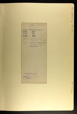 p. 7