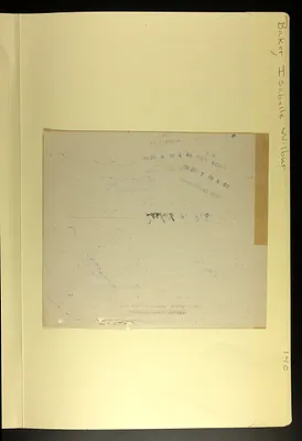 p. 46