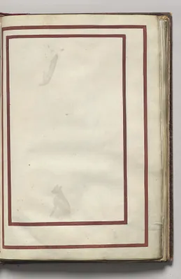 Border, folio 9 (recto), from Florilegium (A Book of Flower Studies)