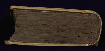 p. 7