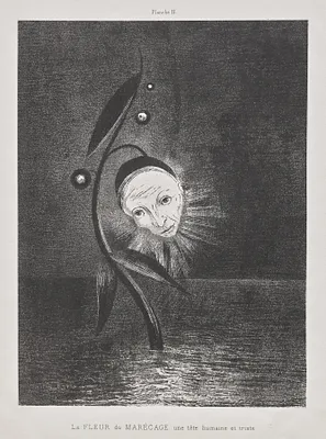 The Marsh Flower, a Sad Human Head