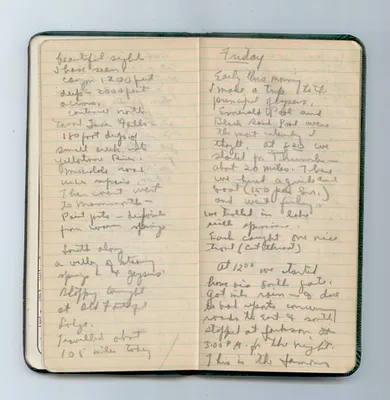 p. 7