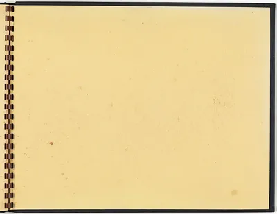 p. 31