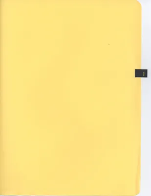 p. 45