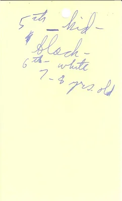 p. 3