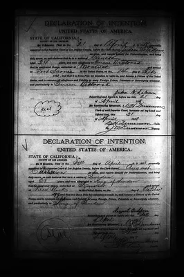 Page 349