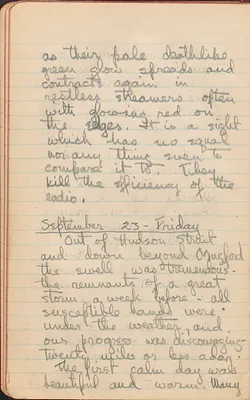 p. 49