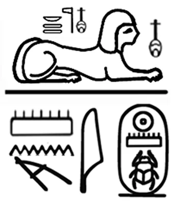 p. 7