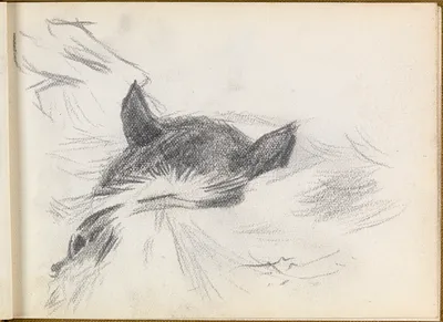 p. 9