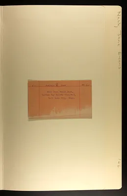 p. 5