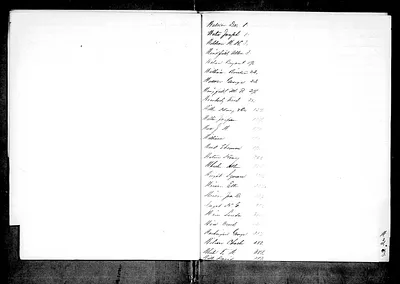 p. 24