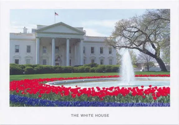 Baseball Cards - The White House