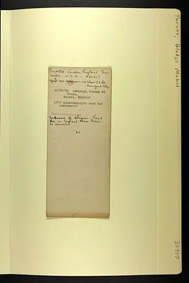 p. 8