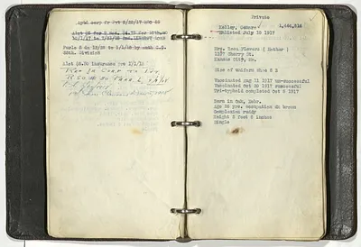 p. 33
