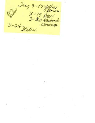 p. 54