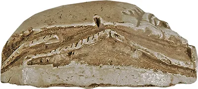 p. 4