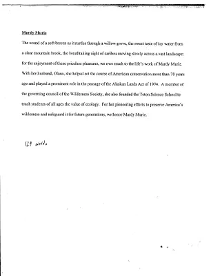 p. 20
