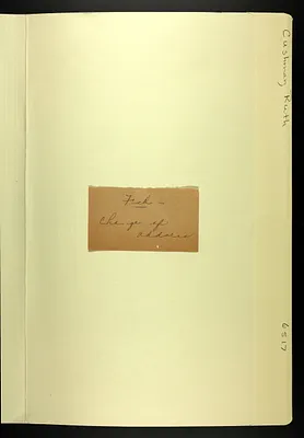 p. 6