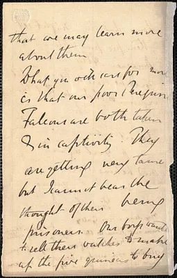 Emily Tennyson autograph letter signed (incomplete) to Mrs. Gatty